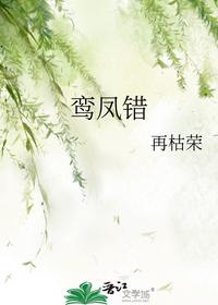 鸾凤错
